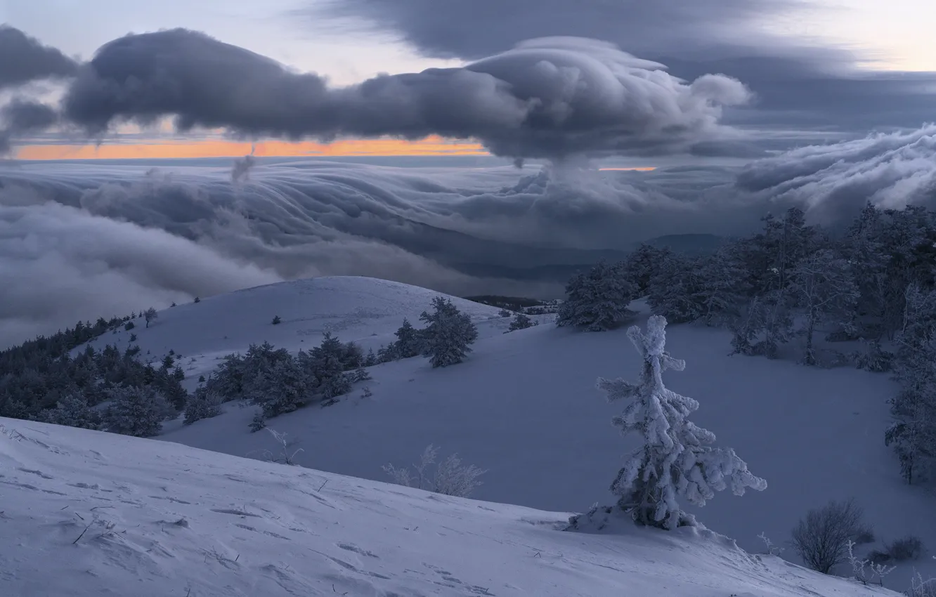 Photo wallpaper winter, frost, Demerdzhi, OUR CRIMEA