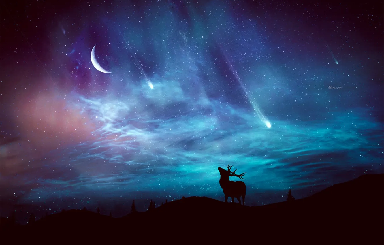 Photo wallpaper forest, the sky, stars, night, hills, deer, silhouette, horns