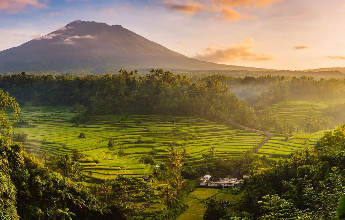 Photo wallpaper Indonesia, rice fields, the island of Bali, Agung
