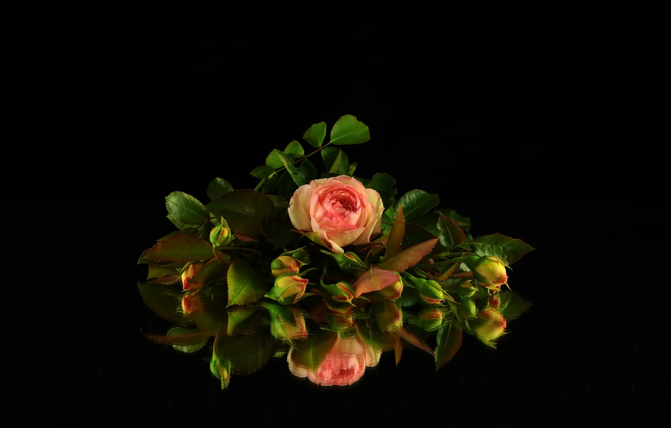 Photo wallpaper reflection, background, black, roses, bouquet, buds