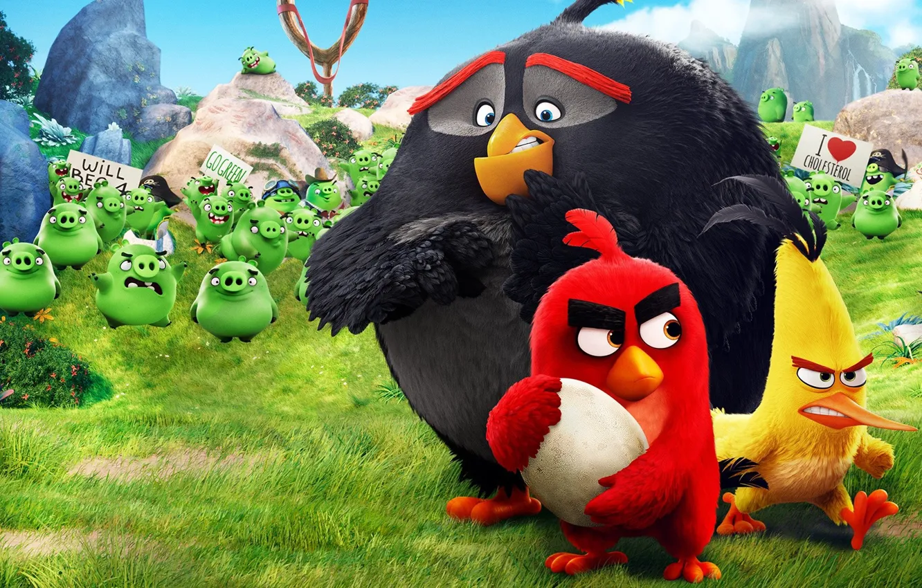 Photo wallpaper red, game, pirate, birds, film, animated, angry, Angry Birds