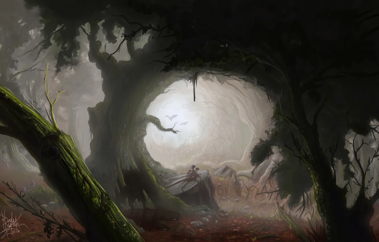 Photo wallpaper forest, stones, mushrooms, art