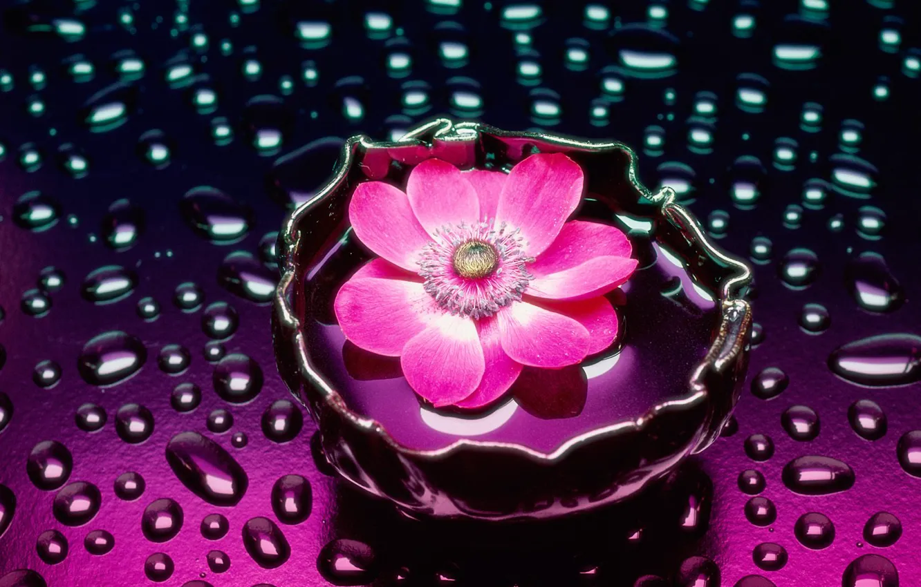 Photo wallpaper water, flowers, vase
