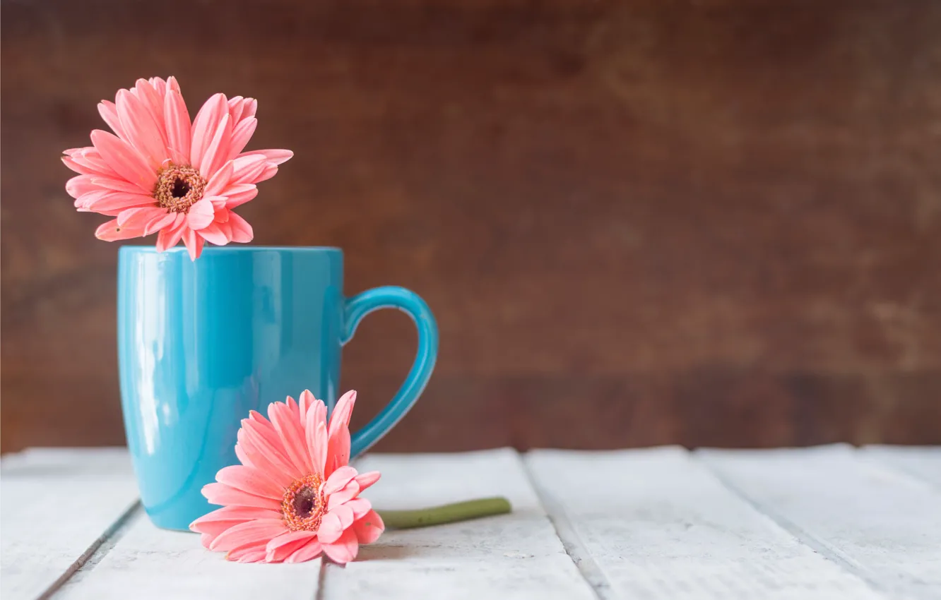 Photo wallpaper flowers, mug, chrysanthemum, wood, pink, flowers, mug