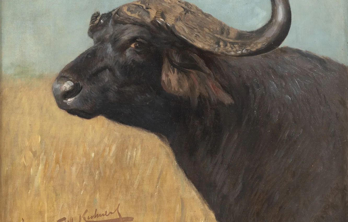 Photo wallpaper Picture, Friedrich Wilhelm Kunert, Friedrich Wilhelm Kuhnert, Buffalo, Wilhelm Kunert, Wilhelm Kuhnert, German painter, Cape …