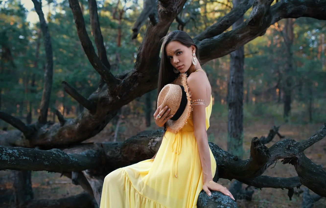 Photo wallpaper forest, photoshoot, Alexander, Vadim Mironov