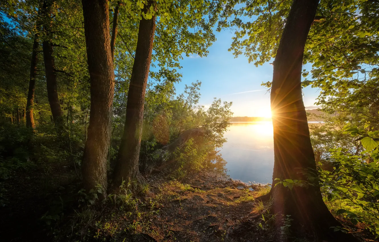 Photo wallpaper summer, the sun, rays, trees, river, dawn, Russia, Andrei