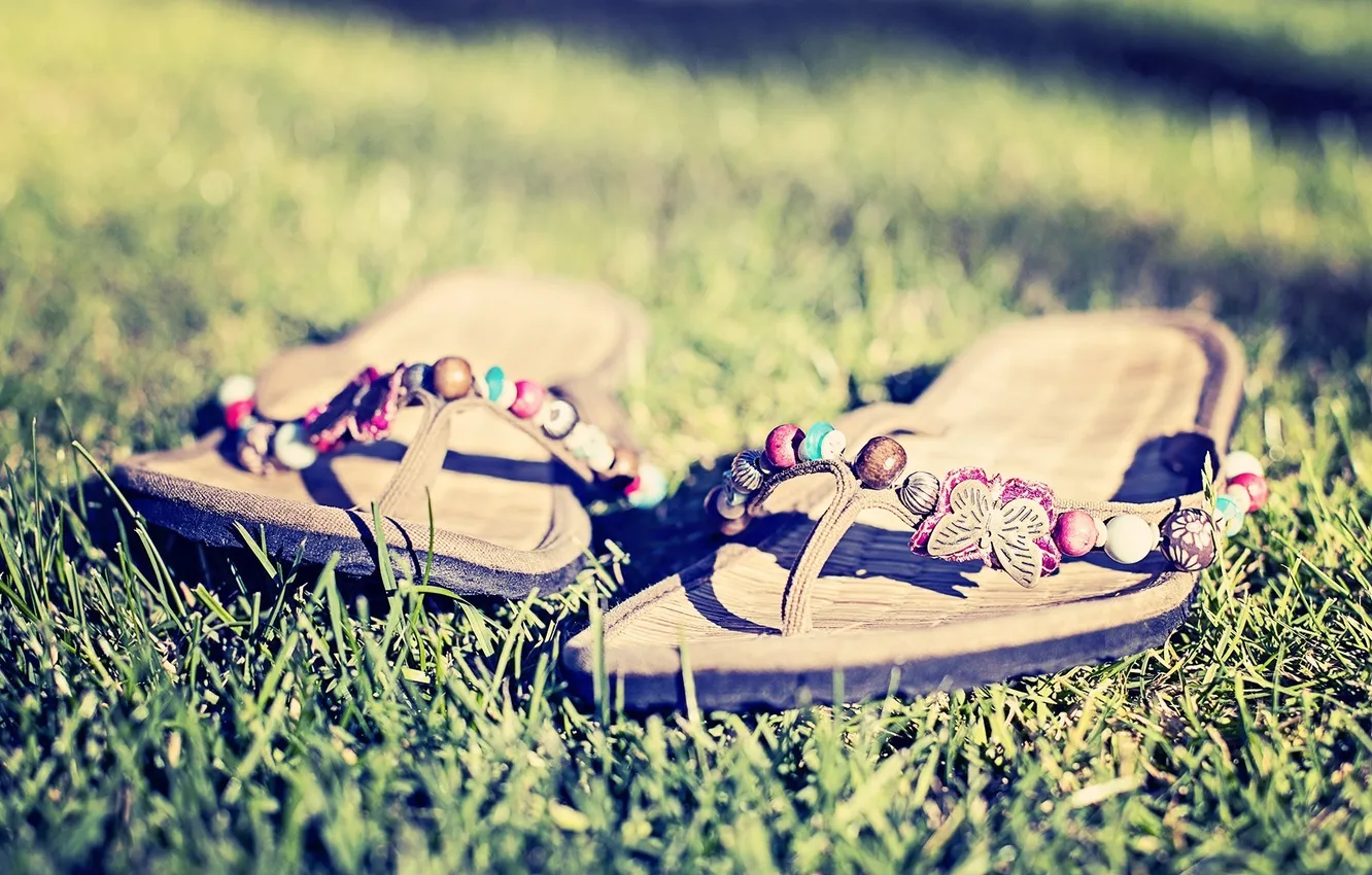 Photo wallpaper greens, grass, macro, background, mood, meadow, slates, HD walppapers