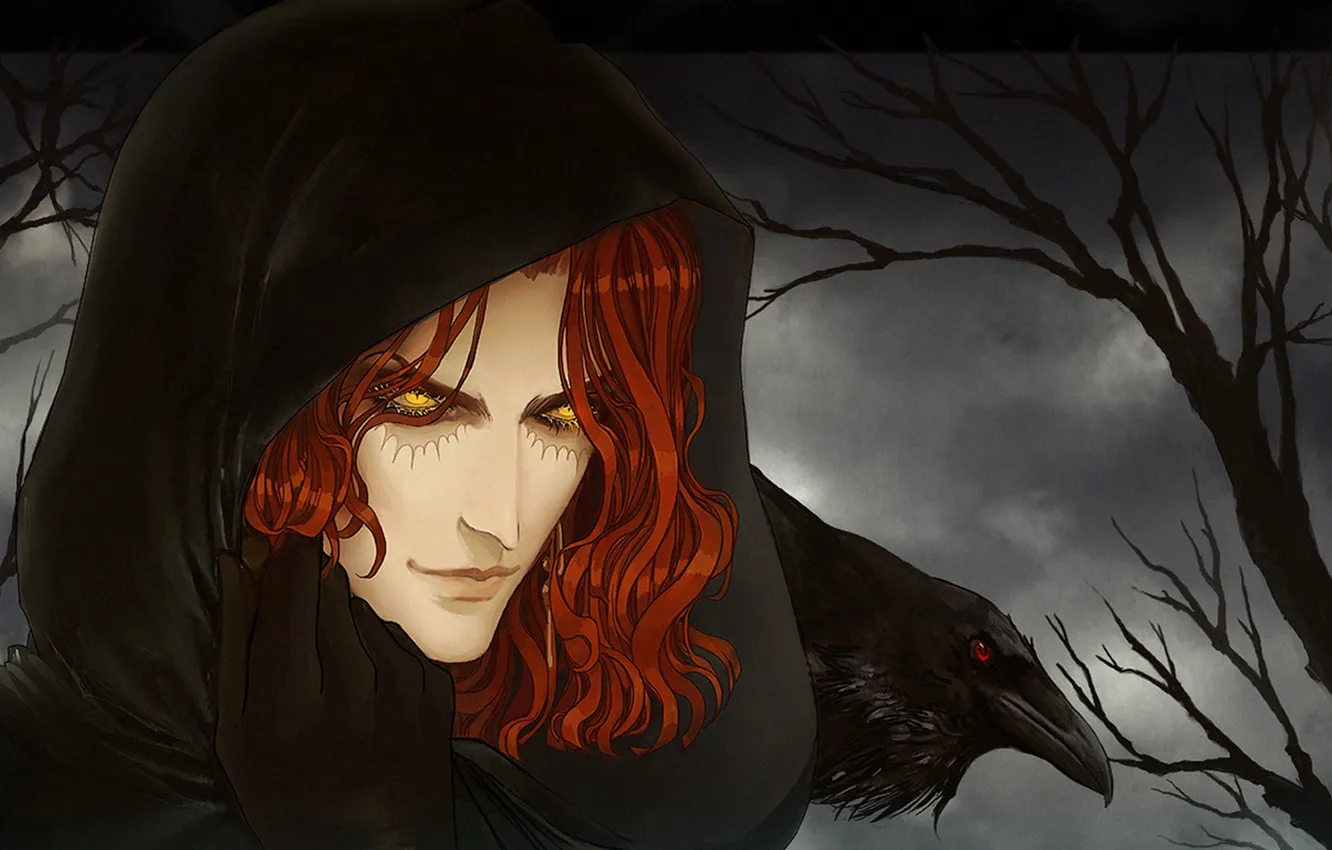 Photo wallpaper hood, gloves, red, guy, Raven, yellow eyes