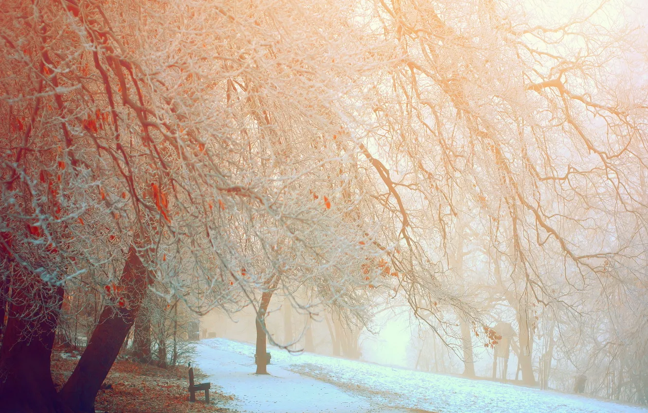 Photo wallpaper winter, the city, Park, bench