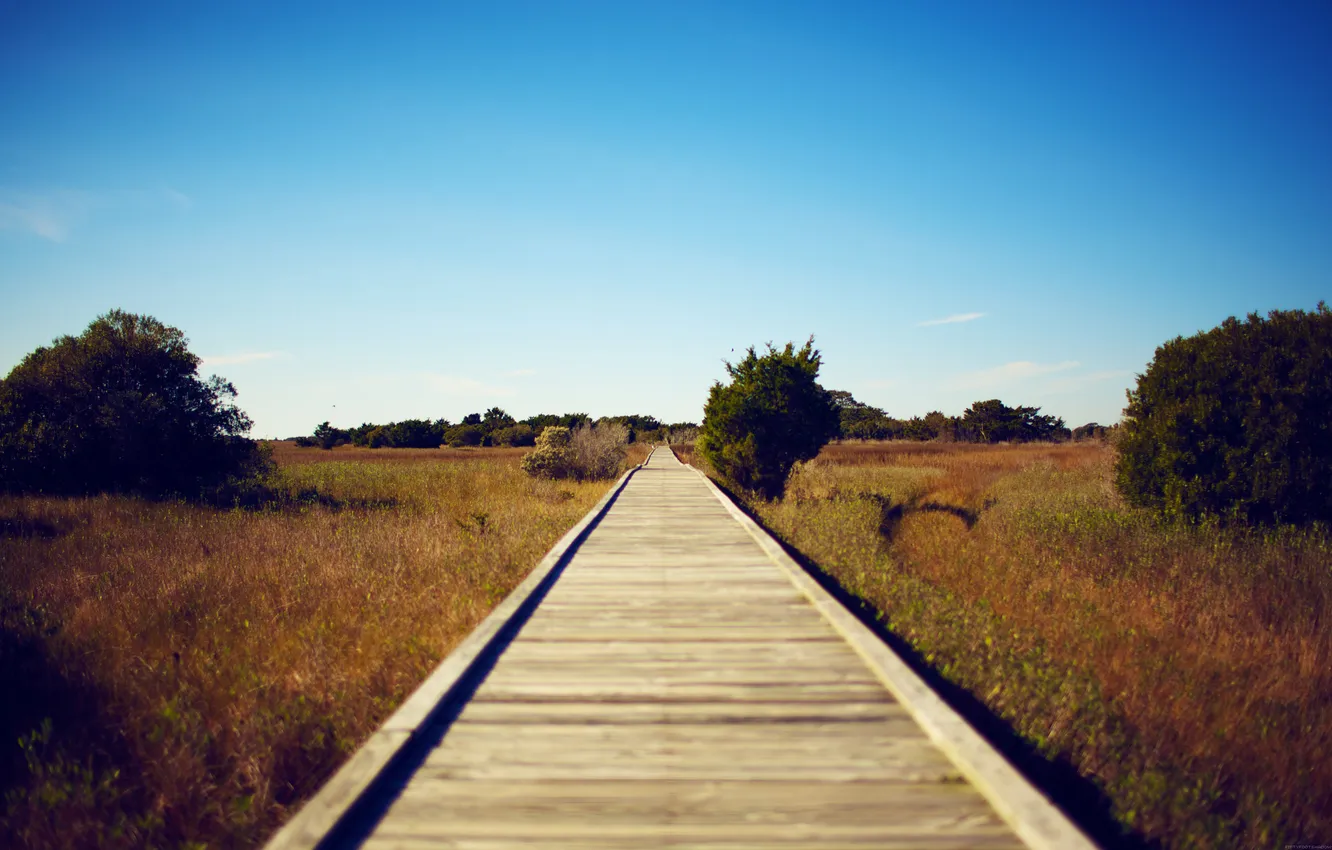 Photo wallpaper road, field, the sky