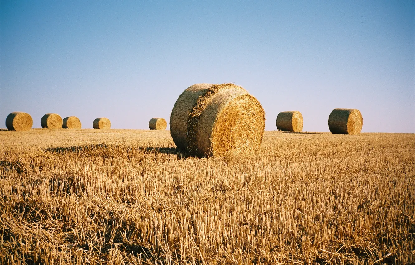 Photo wallpaper field, the sky, shadow, harvest, Sunny, farm, hay