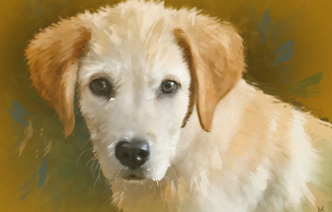 Photo wallpaper portrait, dog, puppy