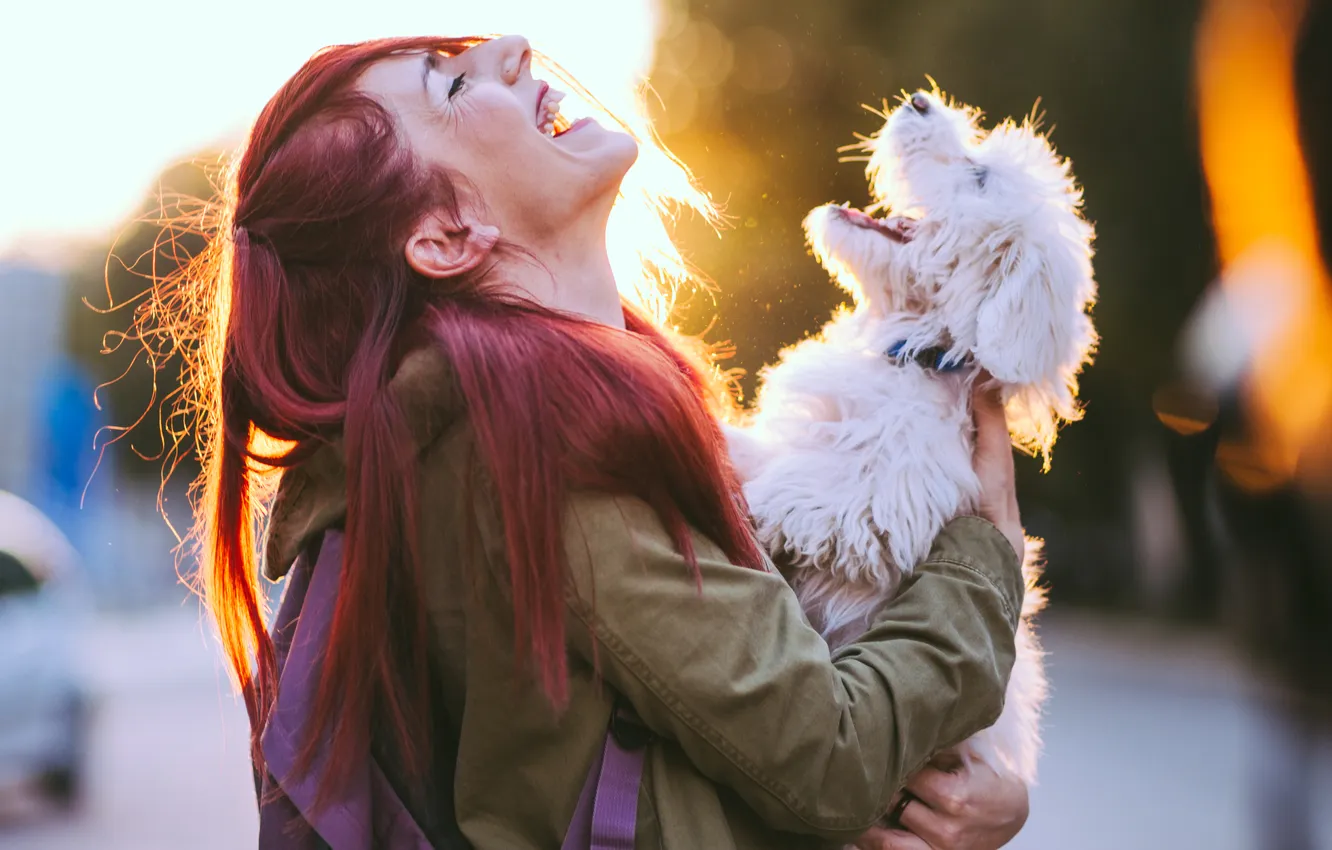Photo wallpaper puppy, woman, happiness