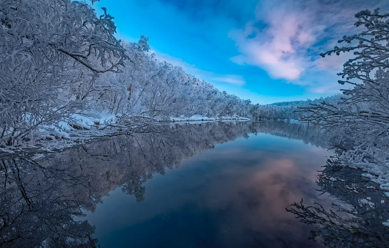 Photo wallpaper winter, forest, trees, reflection, river, Finland, Finland, Lapland