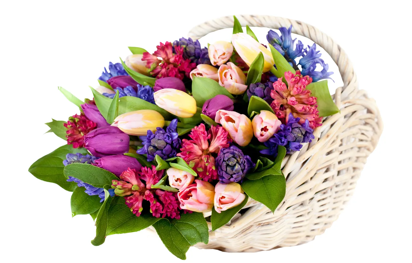 Photo wallpaper flowers, tulips, basket, hyacinths