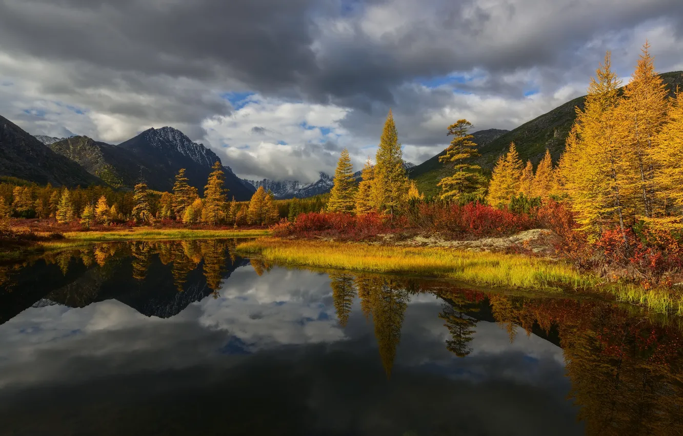 Photo wallpaper autumn, clouds, trees, landscape, mountains, nature, Kolyma, Maxim Evdokimov