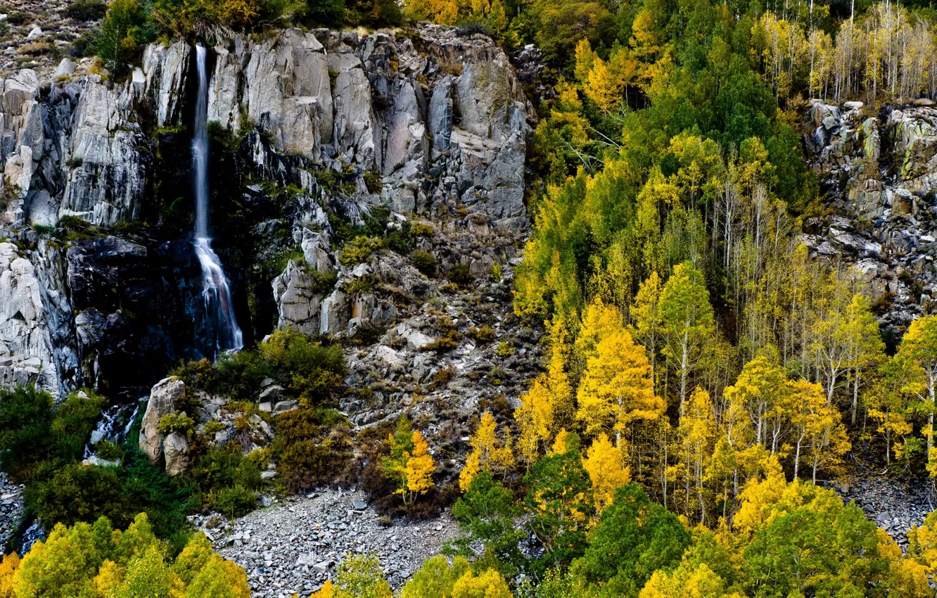 Photo wallpaper autumn, forest, trees, rock, stones, waterfall