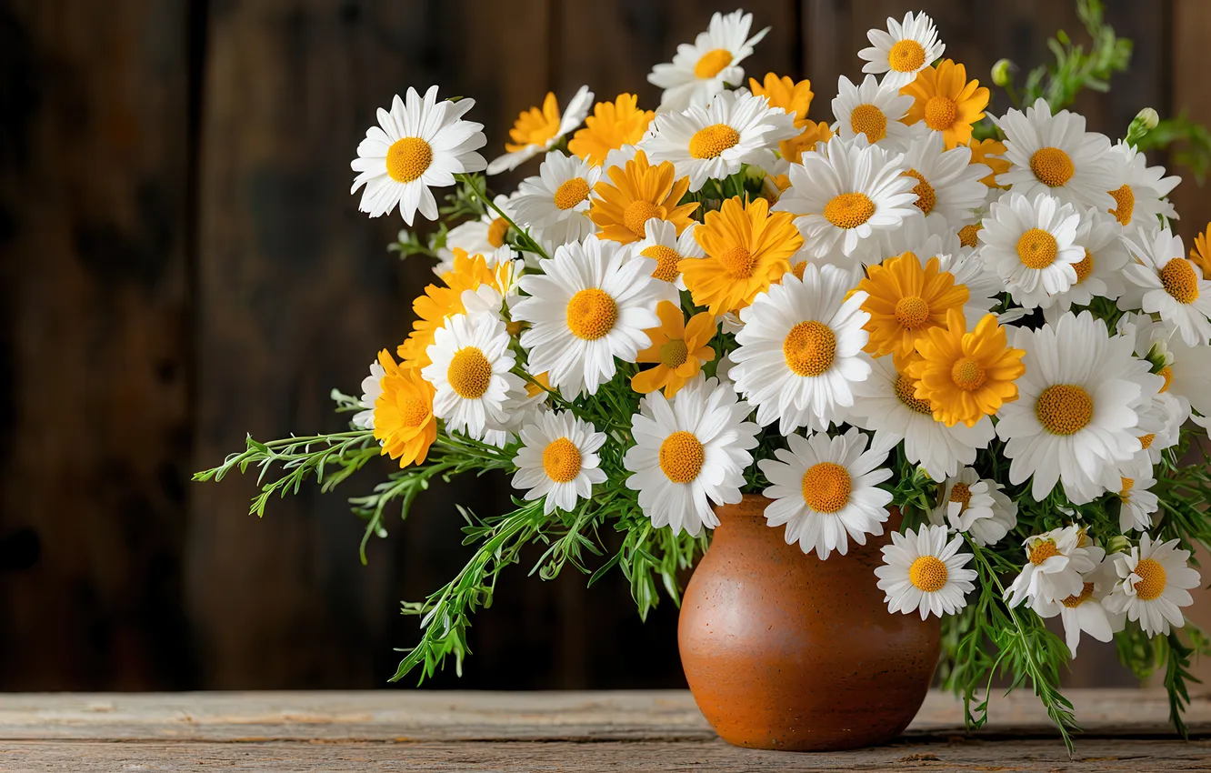 Photo wallpaper flowers, the dark background, table, Board, chamomile, bouquet, yellow, pot