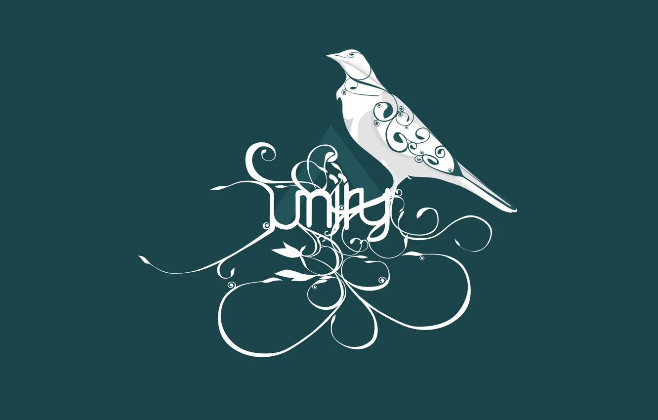 Photo wallpaper bird, vector graphics, Unity, game engine