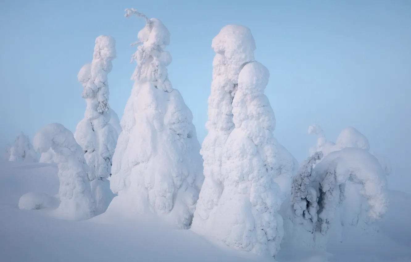 Photo wallpaper winter, snow, Finland, Lapland
