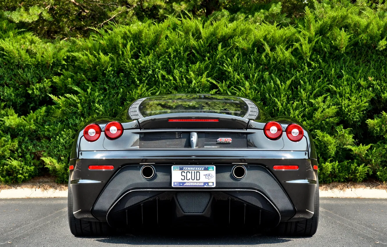 Photo wallpaper black, Parking, Ferrari, Ferrari, black, shrub, parking, back