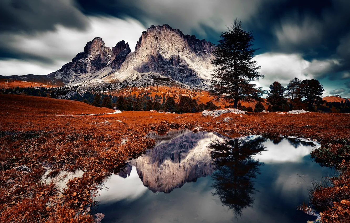 Photo wallpaper mountains, lake, reflection, tree, Italy, The Dolomites