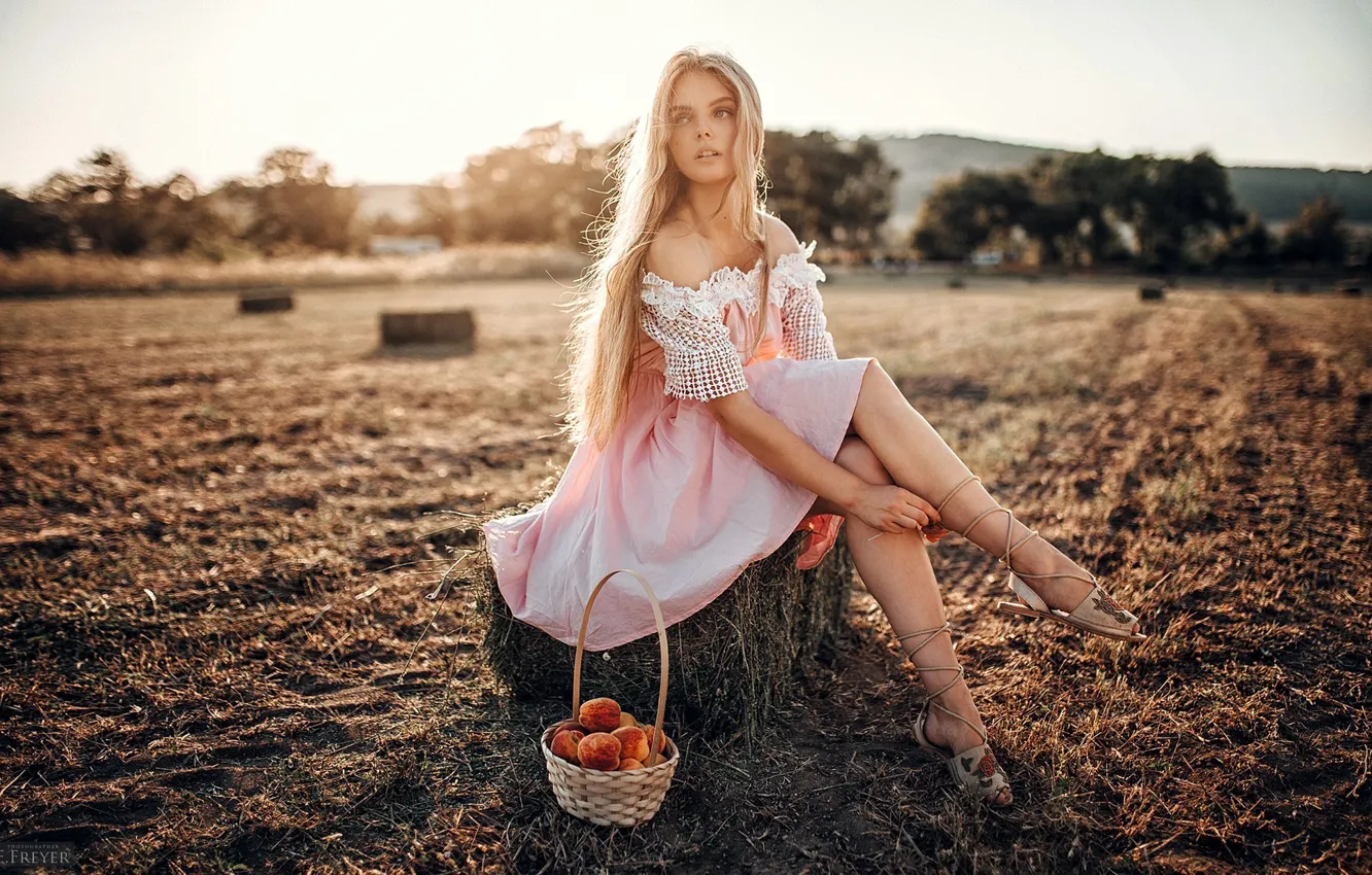 Photo wallpaper field, summer, girl, dress, harvest, legs, basket, Evgeny Freyer