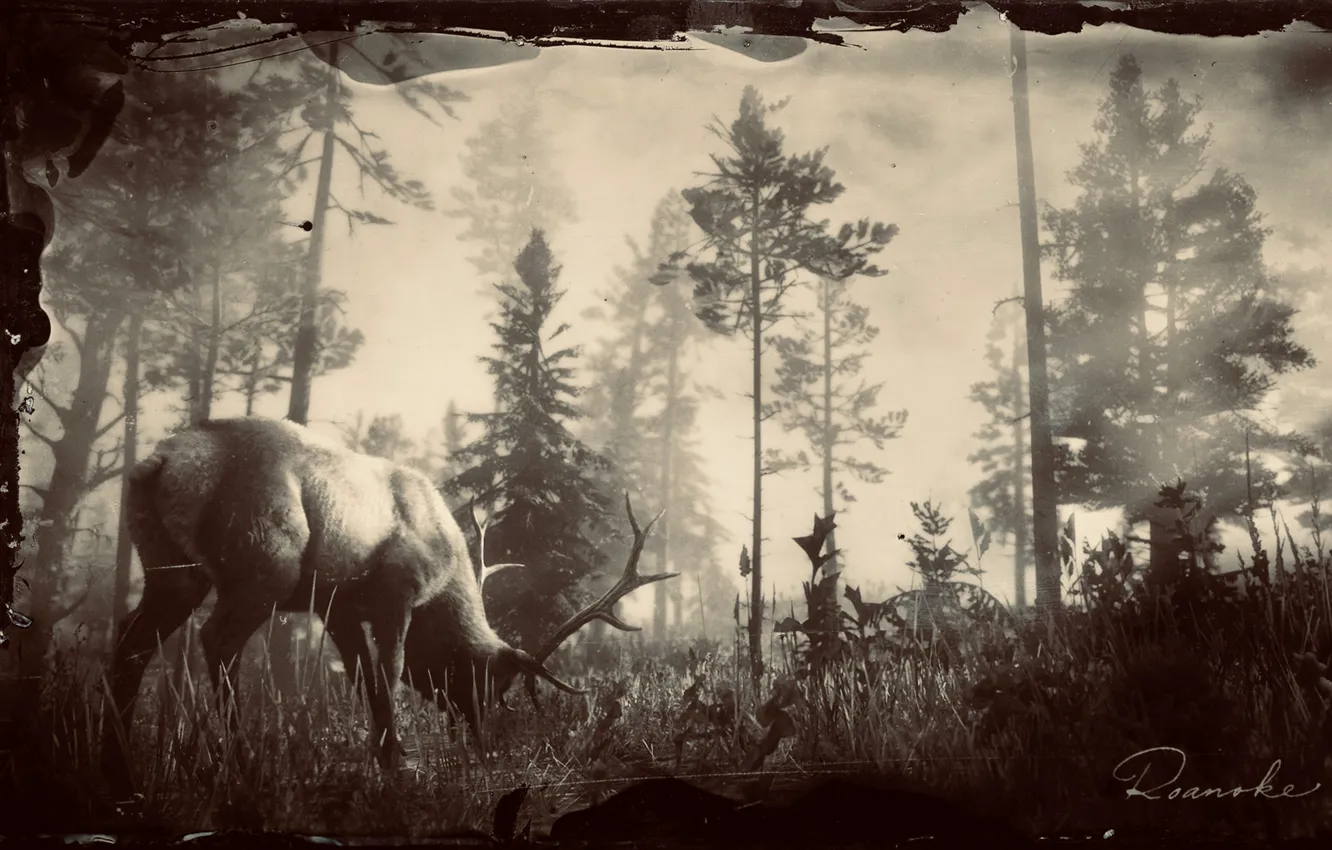 Photo wallpaper HDR, Wood, Game, Deer, Wilderness, UHD, Red Dead Redemption 2, Xbox One X