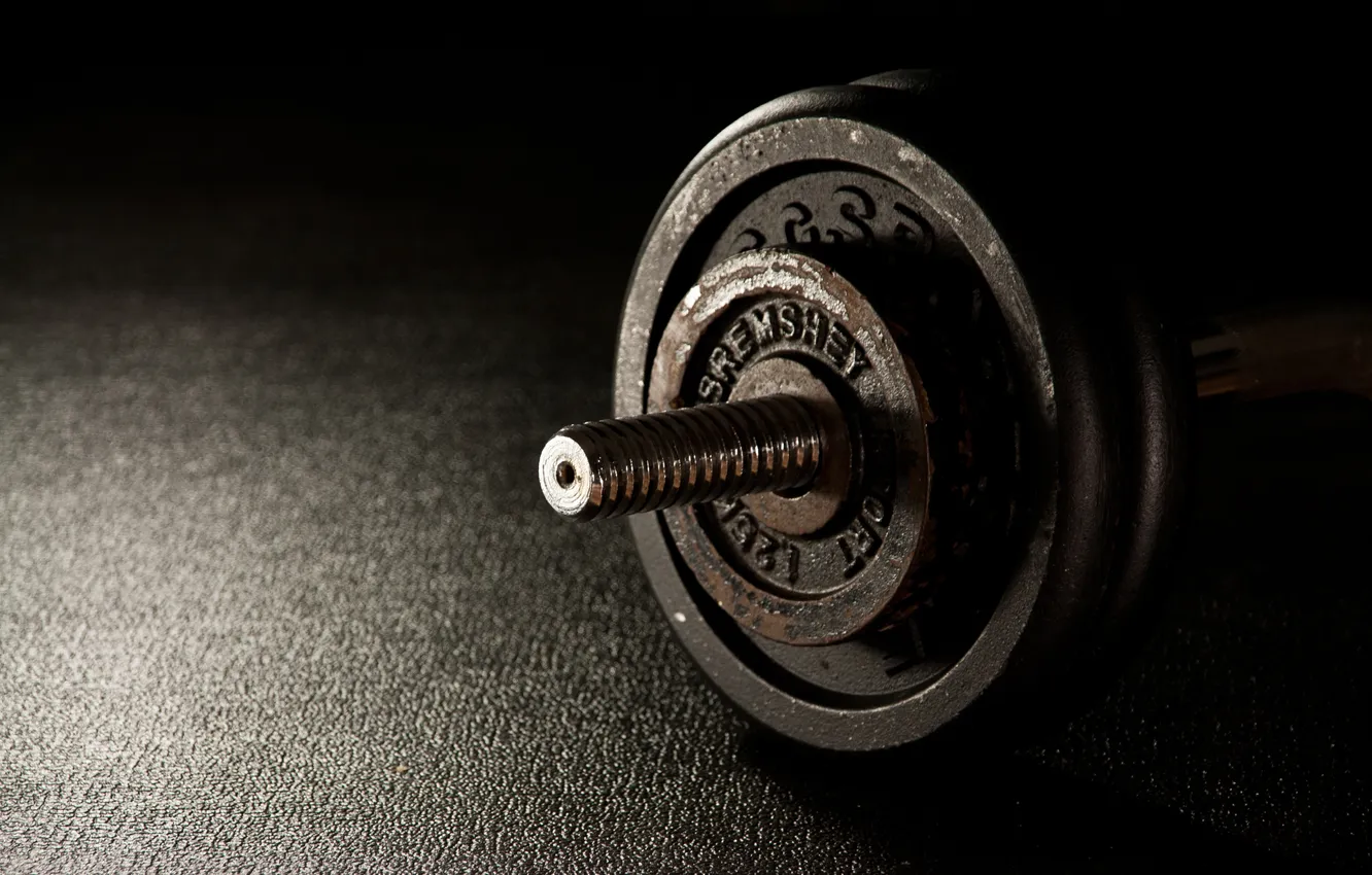 Photo wallpaper pancakes, Grif, rod