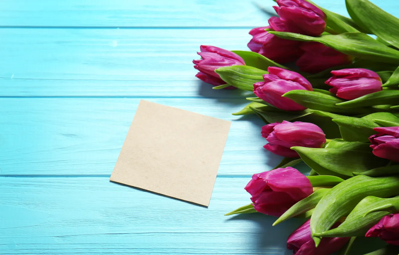 Photo wallpaper flowers, bouquet, tulips, wood, flowers, tulips, spring, purple