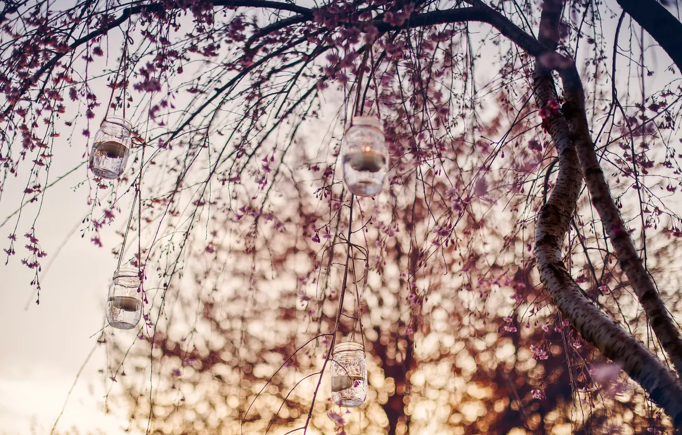 Photo wallpaper leaves, tree, candles, bokeh