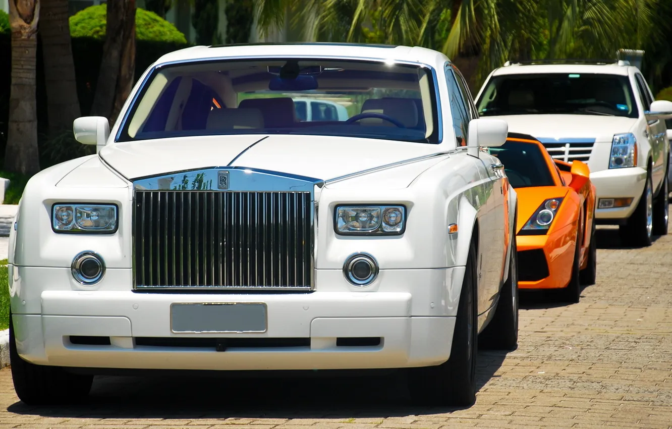 Photo wallpaper Cadillac, Lamborghini, white, Gallardo, Escalade, Spyder, Royce, orange