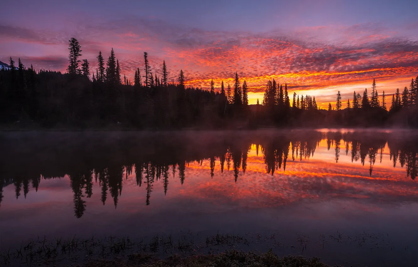 Photo wallpaper forest, the sky, the sun, clouds, light, sunset, fog, reflection