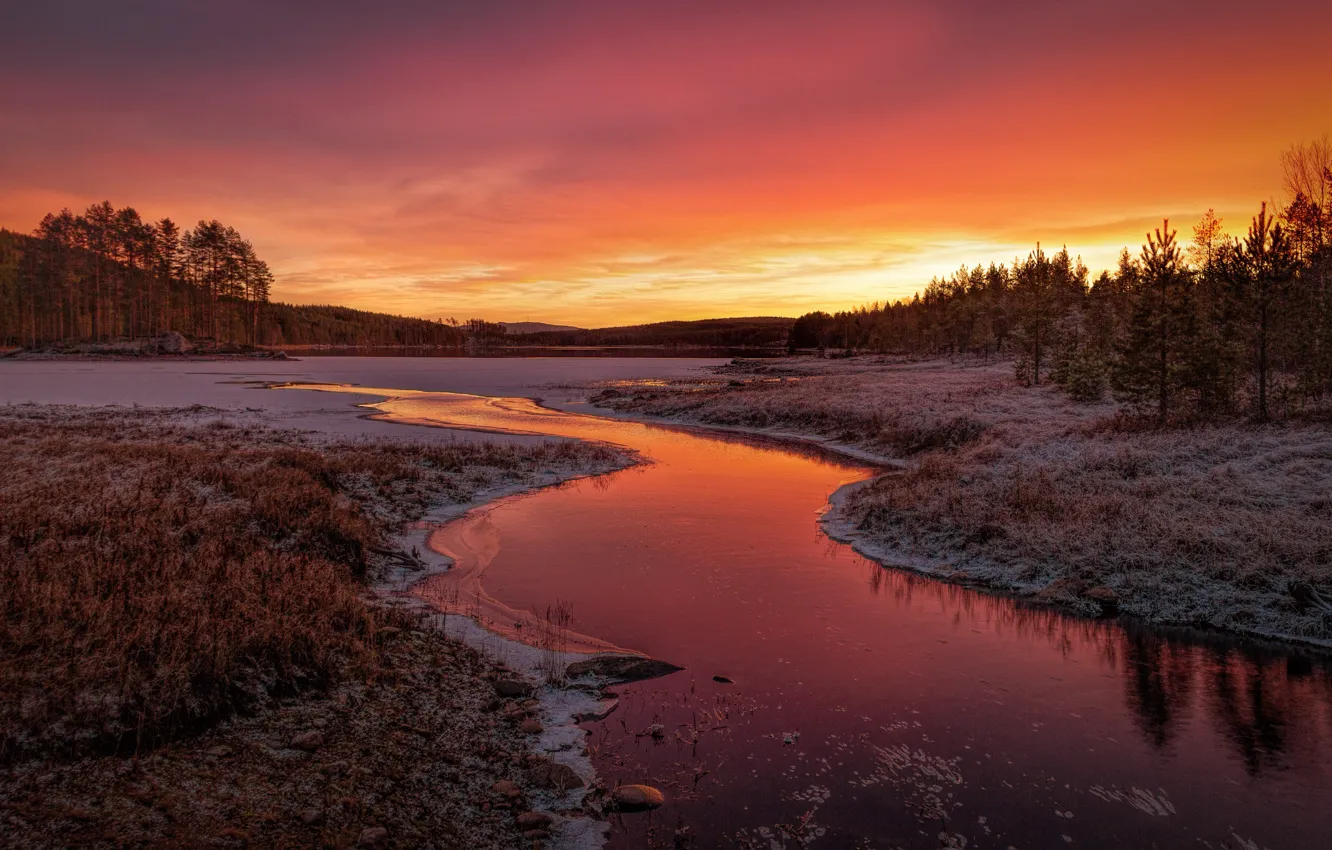 Photo wallpaper night, river, sunset