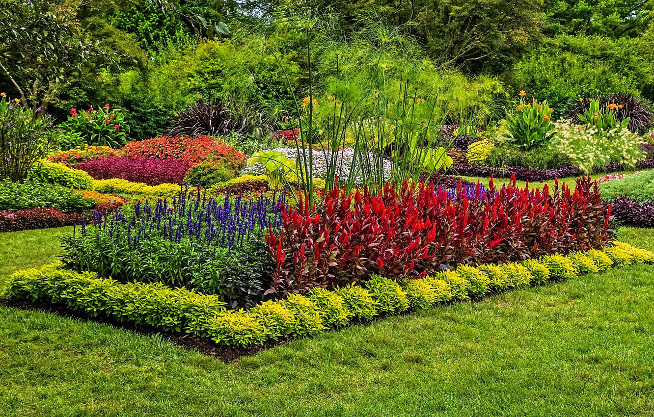 Photo wallpaper grass, nature, Park, photo, lawn, USA, the bushes, Longwood