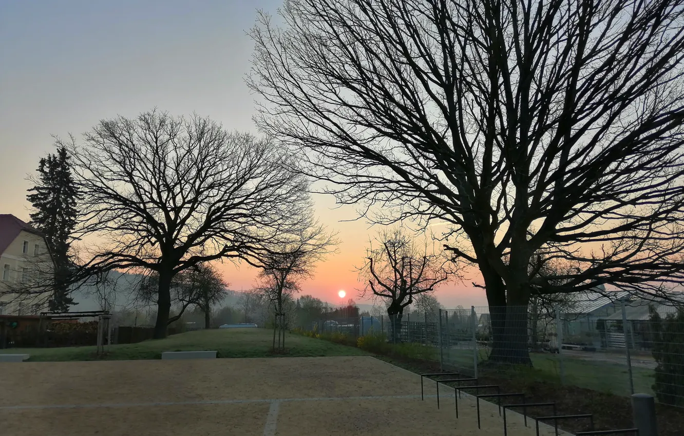 Photo wallpaper photography, trees, landscape, Sun, wood, morning, sunrise, early