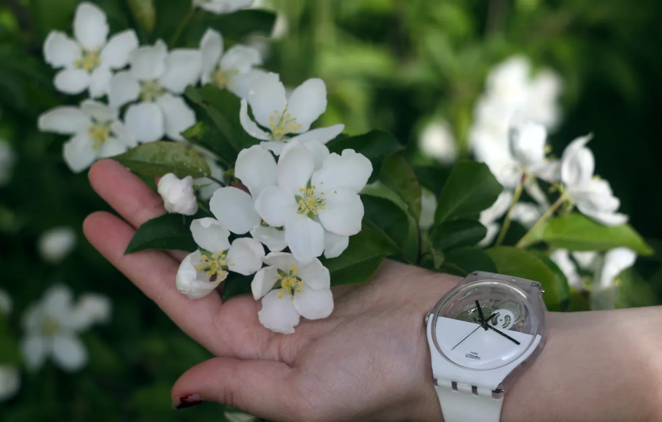 Photo wallpaper tenderness, watch, hands, Apple