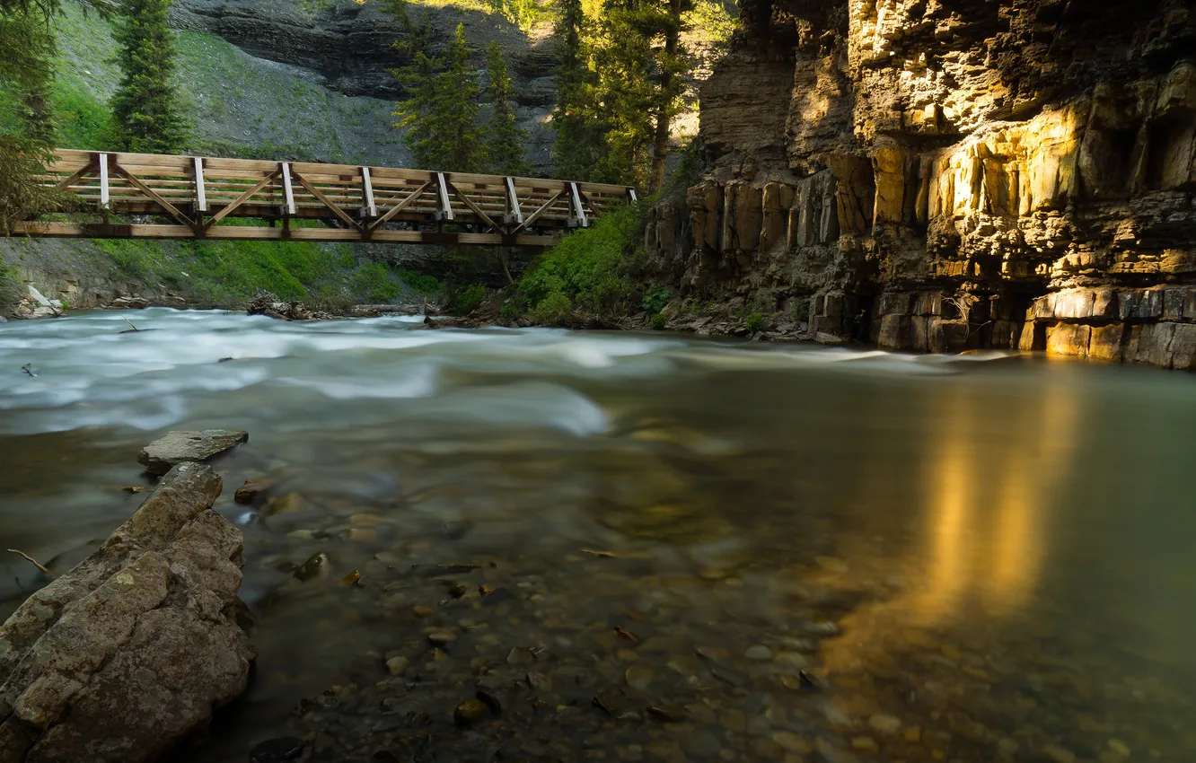 Photo wallpaper trees, bridge, nature, river, rocks, USA, montana river
