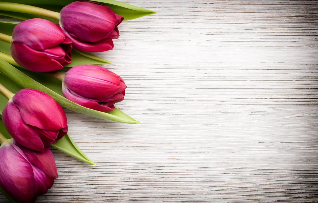 Photo wallpaper flowers, bouquet, fresh, wood, pink, flowers, beautiful, tulips