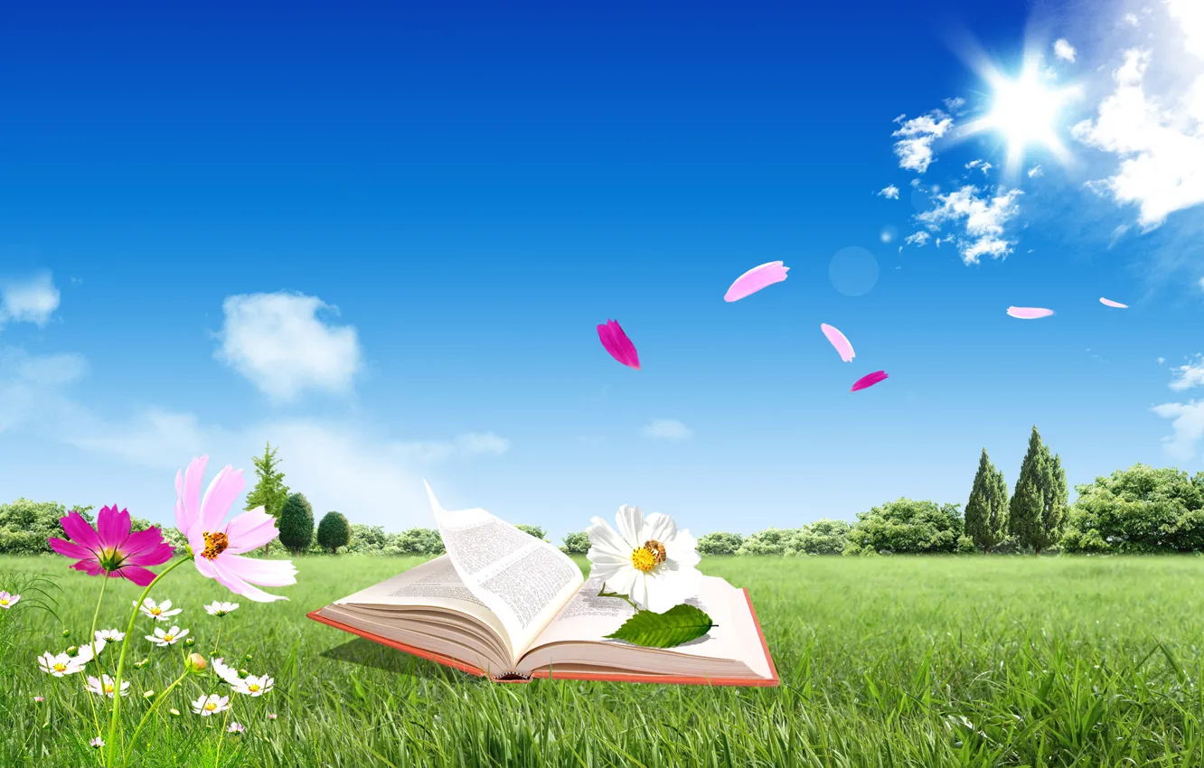 Photo wallpaper the sky, leaves, flowers, book, owner, clouds blue