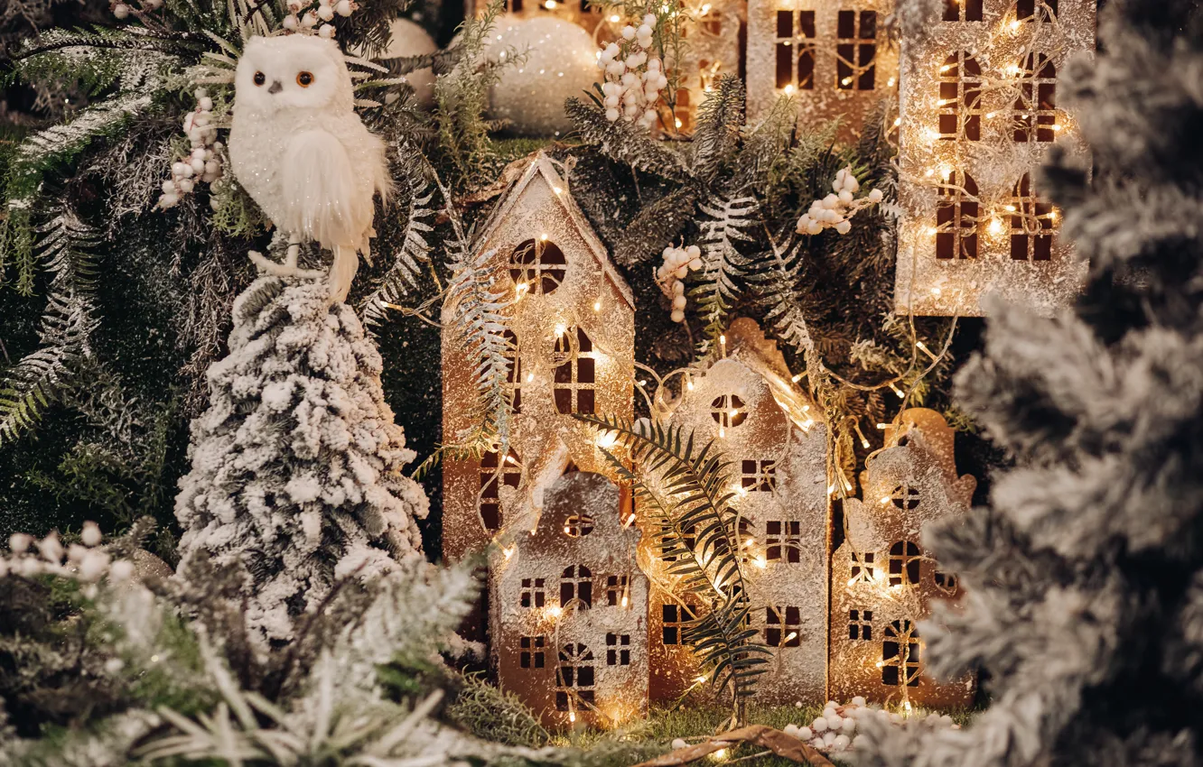 Photo wallpaper winter, frost, white, light, snow, lights, owl, bird