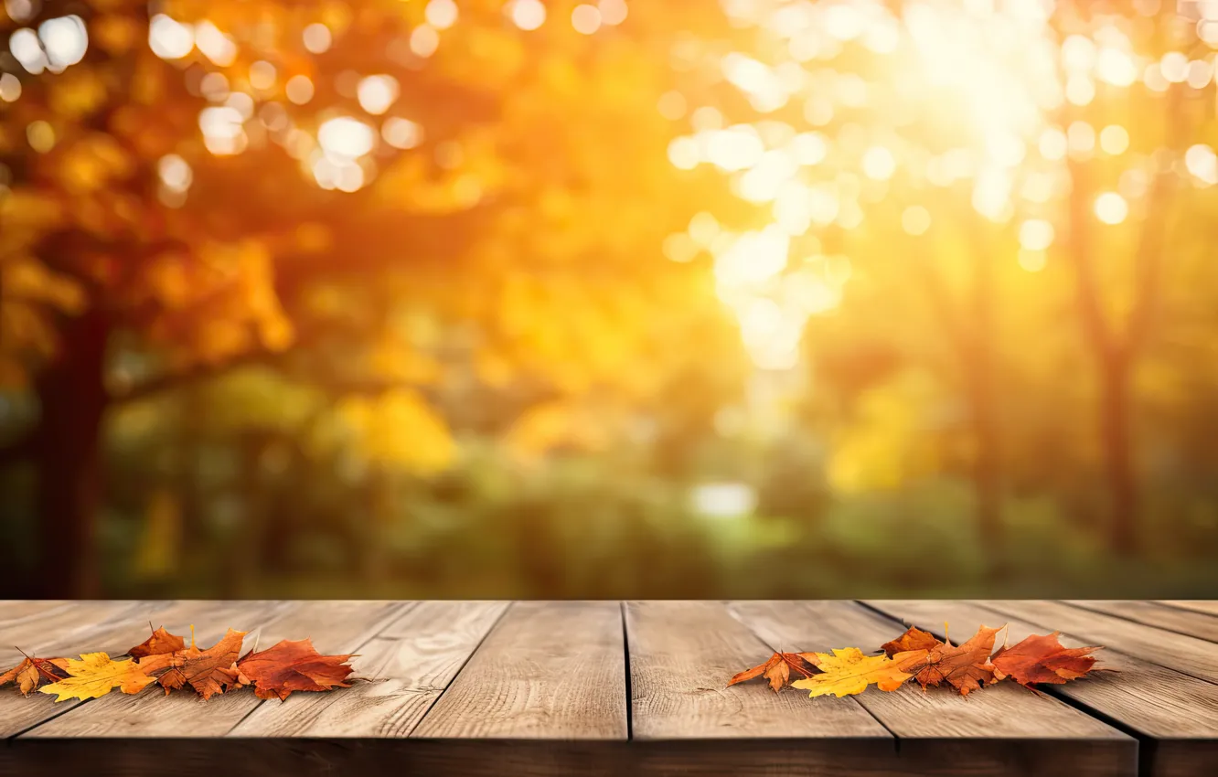 Photo wallpaper autumn, leaves, Park, background, forest, park, background, autumn