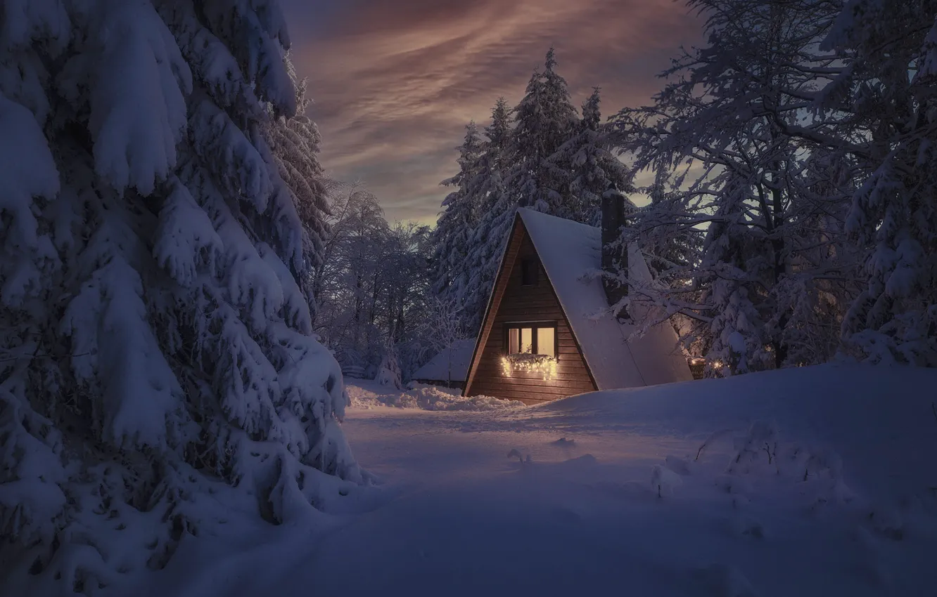 Photo wallpaper winter, light, snow, trees, landscape, nature, the evening, house
