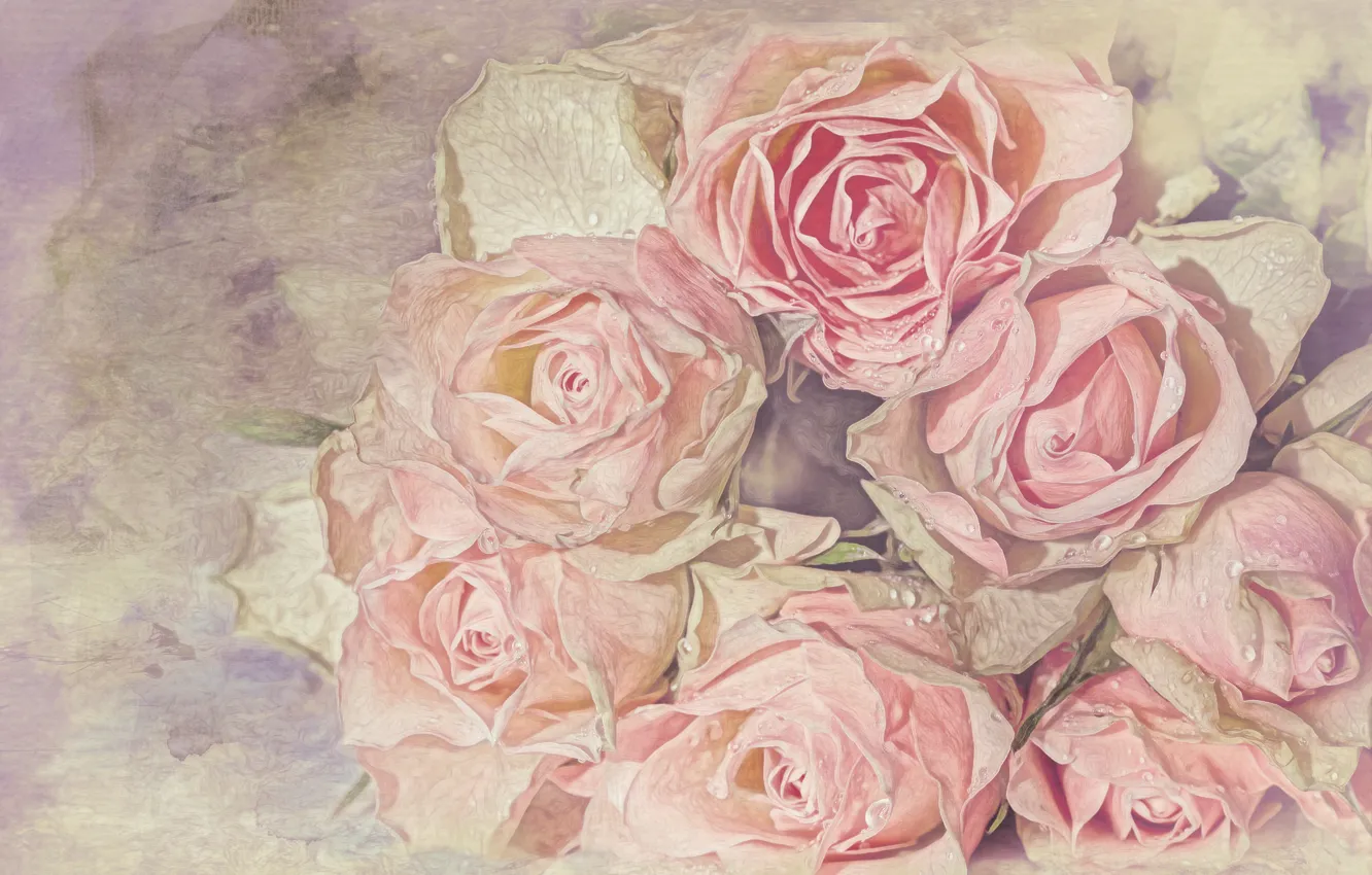 Photo wallpaper drops, roses, treatment, bouquet, lie