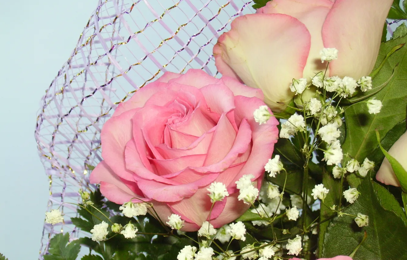 Photo wallpaper roses, bouquet, pink. flowers