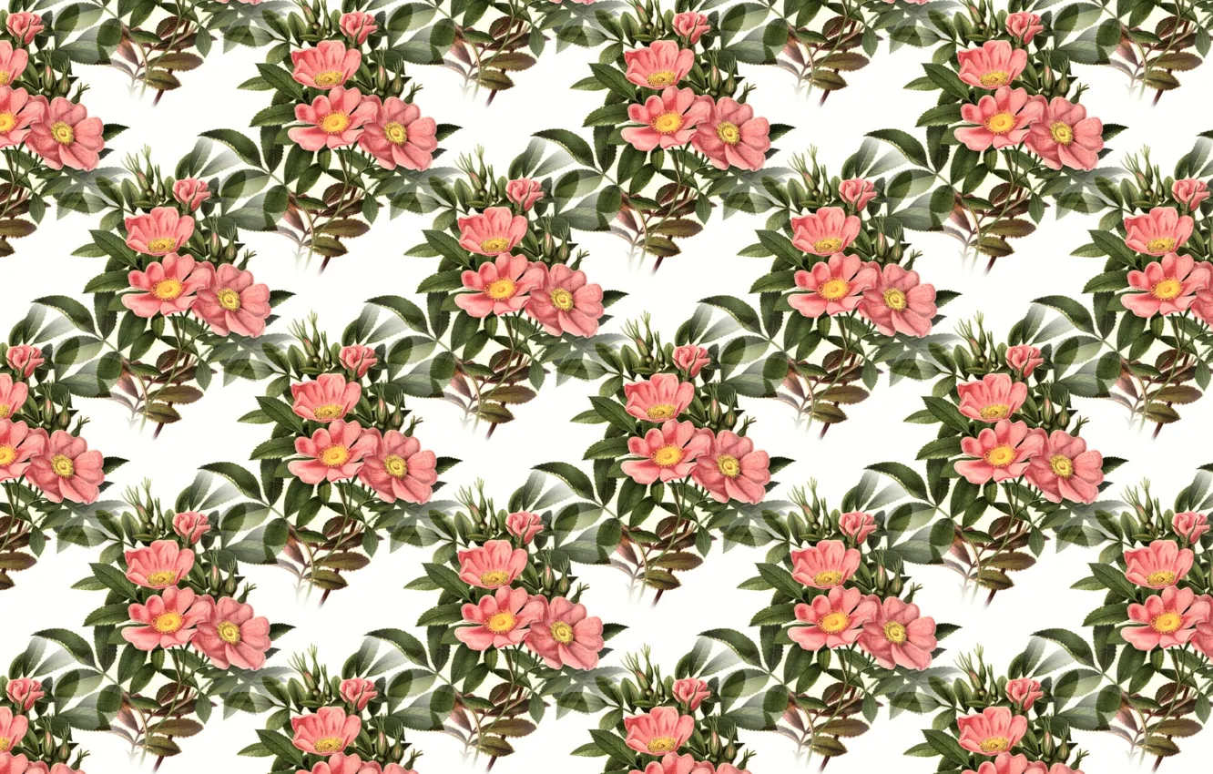 Photo wallpaper flowers, background, bouquet, texture, background, seamless