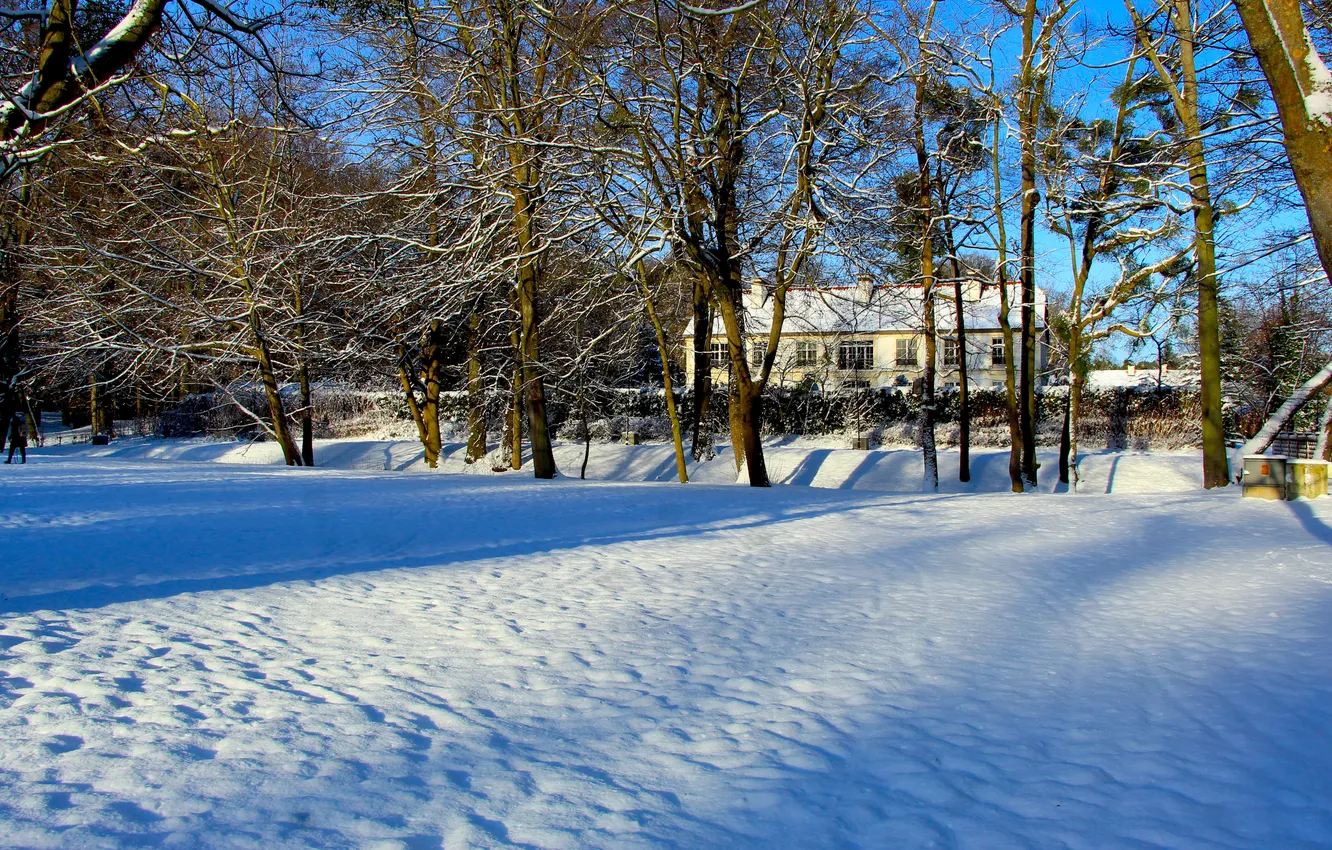 Photo wallpaper house, trees, winter, snow