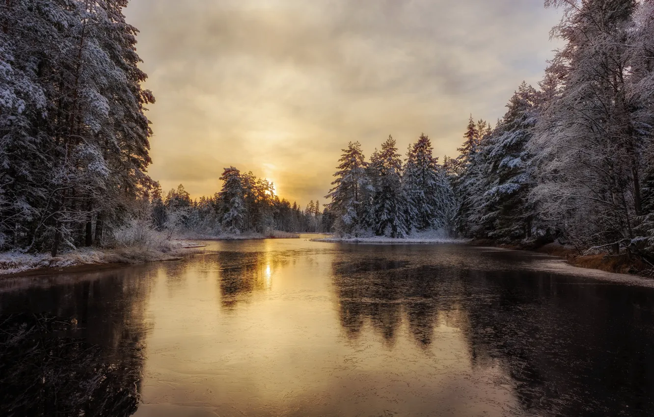 Photo wallpaper winter, forest, river, Sweden, Arvika