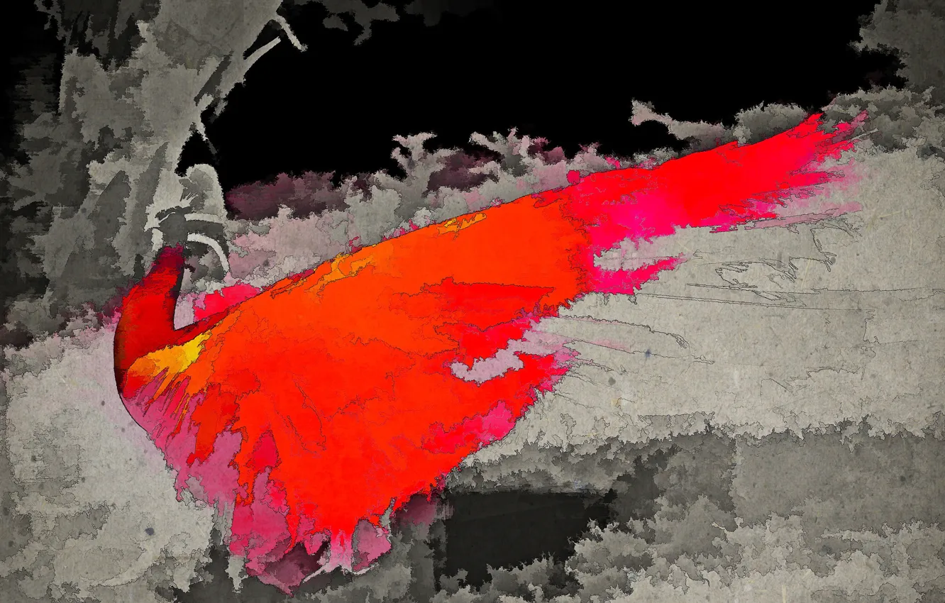 Photo wallpaper abstraction, bird, color, form